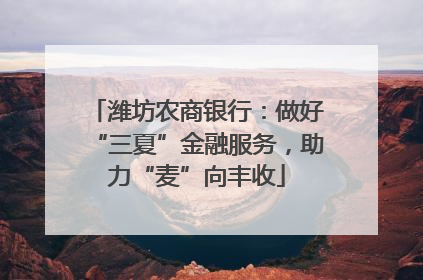 潍坊农商银行：做好“三夏”金融服务，助力“麦”向丰收