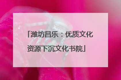 潍坊昌乐：优质文化资源下沉文化书院