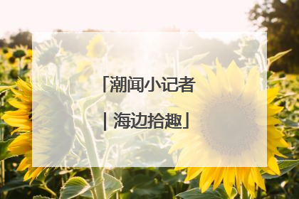 潮闻小记者｜海边拾趣