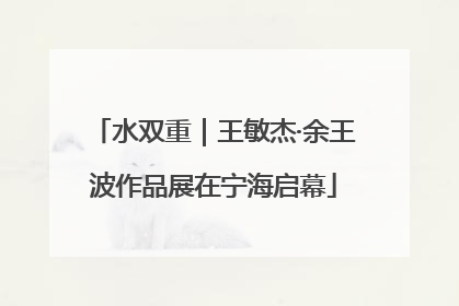 水双重｜王敏杰·余王波作品展在宁海启幕
