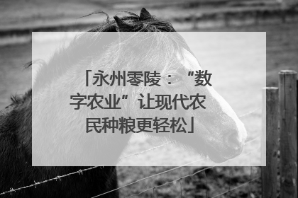 永州零陵：“数字农业”让现代农民种粮更轻松