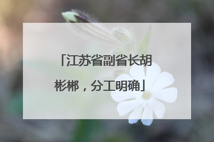江苏省副省长胡彬郴，分工明确