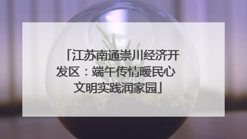江苏南通崇川经济开发区：端午传情暖民心 文明实践润家园