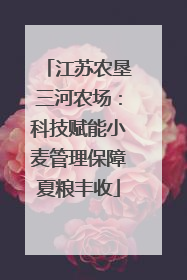 江苏农垦三河农场：科技赋能小麦管理保障夏粮丰收