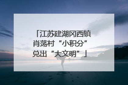 江苏建湖冈西镇肖荡村“小积分”兑出“大文明”