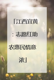 江西宜黄：志愿红助农惠民情意浓
