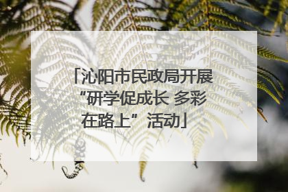 沁阳市民政局开展“研学促成长 多彩在路上”活动