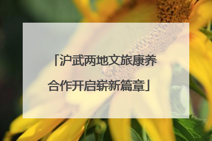 沪武两地文旅康养合作开启崭新篇章