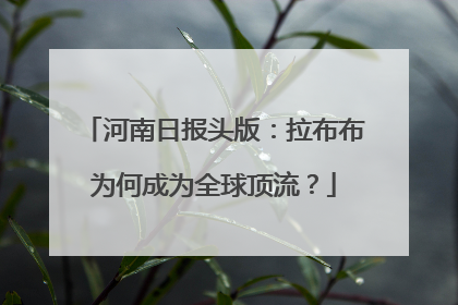 河南日报头版：拉布布为何成为全球顶流？