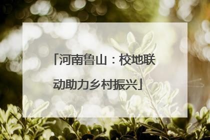 河南鲁山：校地联动助力乡村振兴
