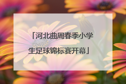 河北曲周春季小学生足球锦标赛开幕
