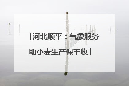 河北顺平：气象服务助小麦生产保丰收