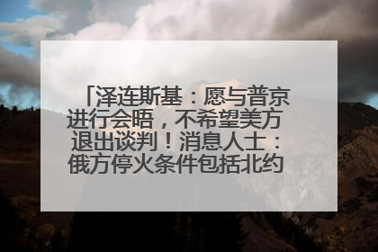 泽连斯基：愿与普京进行会晤，不希望美方退出谈判！消息人士：俄方停火条件包括北约“书面”保证不东扩
