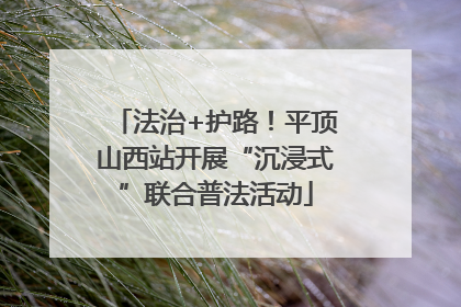 法治+护路！平顶山西站开展“沉浸式”联合普法活动