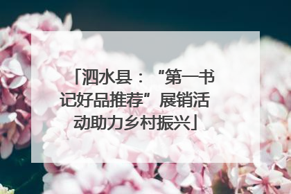 泗水县：“第一书记好品推荐”展销活动助力乡村振兴
