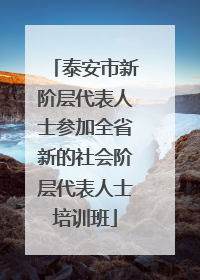泰安市新阶层代表人士参加全省新的社会阶层代表人士培训班