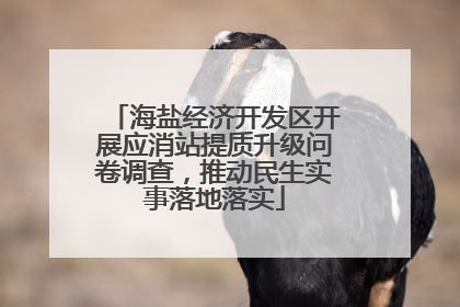 海盐经济开发区开展应消站提质升级问卷调查，推动民生实事落地落实