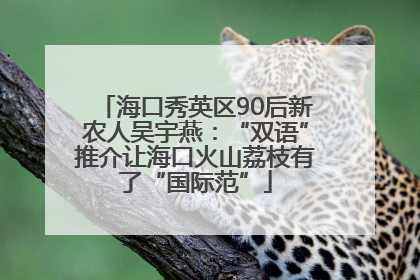 海口秀英区90后新农人吴宇燕：“双语”推介让海口火山荔枝有了“国际范”