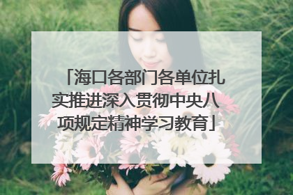 海口各部门各单位扎实推进深入贯彻中央八项规定精神学习教育