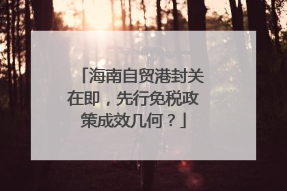 海南自贸港封关在即，先行免税政策成效几何？