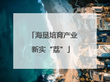 海垦培育产业新实“荔”