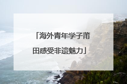 海外青年学子莆田感受非遗魅力