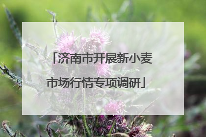 济南市开展新小麦市场行情专项调研