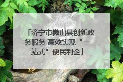 济宁市微山县创新政务服务 高效实现“一站式”便民利企