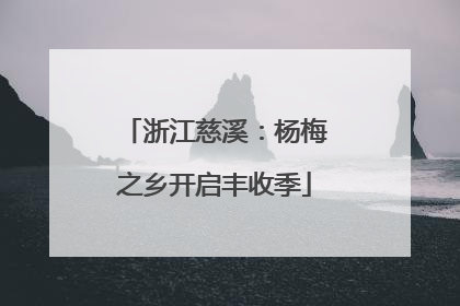 浙江慈溪：杨梅之乡开启丰收季
