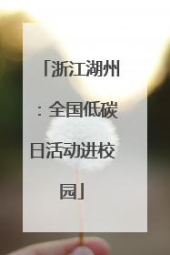 浙江湖州：全国低碳日活动进校园
