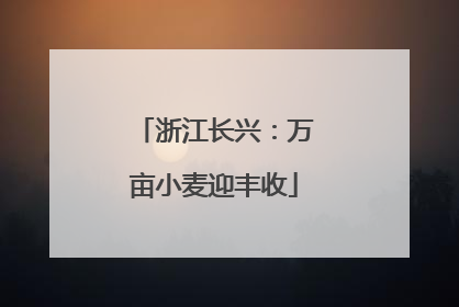 浙江长兴：万亩小麦迎丰收