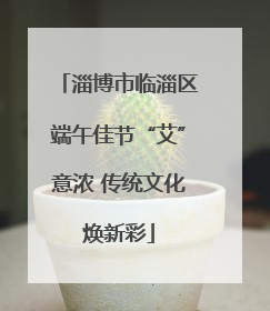 淄博市临淄区端午佳节“艾”意浓 传统文化焕新彩