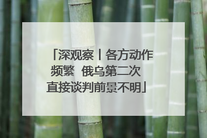 深观察丨各方动作频繁  俄乌第二次直接谈判前景不明