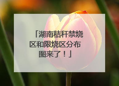 湖南秸秆禁烧区和限烧区分布图来了！