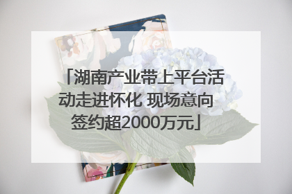 湖南产业带上平台活动走进怀化 现场意向签约超2000万元