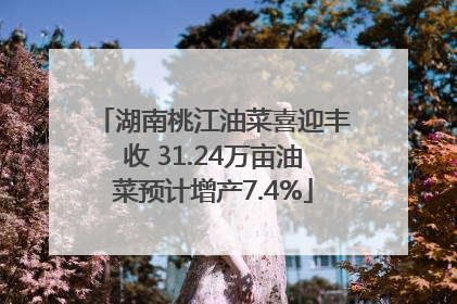 湖南桃江油菜喜迎丰收 31.24万亩油菜预计增产7.4%