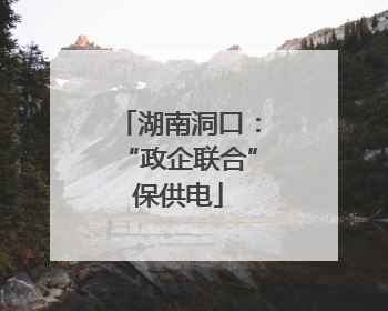湖南洞口：“政企联合”保供电
