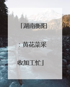 湖南衡阳：黄花菜采收加工忙