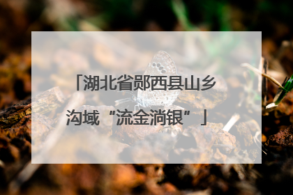 湖北省郧西县山乡沟域“流金淌银”