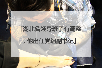 湖北省领导班子有调整，他出任党组副书记