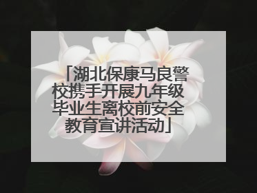 湖北保康马良警校携手开展九年级毕业生离校前安全教育宣讲活动