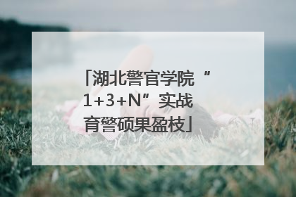 湖北警官学院“1+3+N”实战育警硕果盈枝