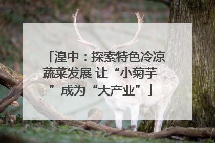 湟中：探索特色冷凉蔬菜发展 让“小菊芋”成为“大产业”