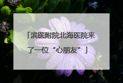 滨医附院北海医院来了一位“心朋友”