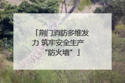 荆门消防多维发力 筑牢安全生产“防火墙”