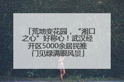 荒地变花园，“湘口之心”好称心！武汉经开区5000余居民推门见绿满眼风景