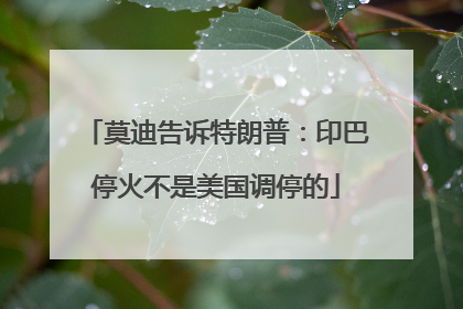 莫迪告诉特朗普：印巴停火不是美国调停的