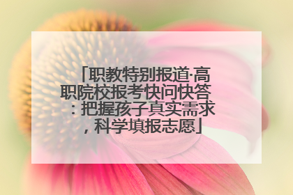 职教特别报道·高职院校报考快问快答：把握孩子真实需求，科学填报志愿