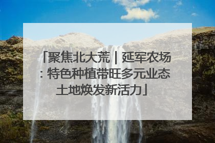 聚焦北大荒｜延军农场：特色种植带旺多元业态 土地焕发新活力