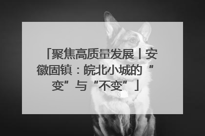 聚焦高质量发展丨安徽固镇：皖北小城的“变”与“不变”